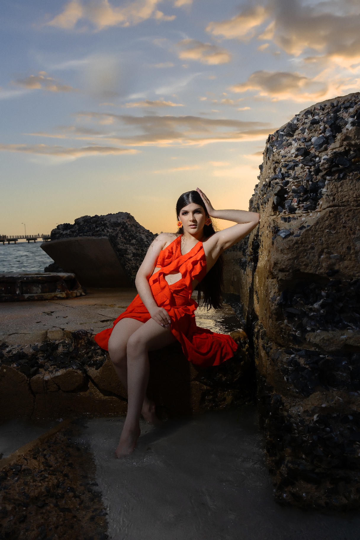 Sunset coral